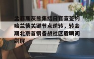 欧宝App-孟菲斯灰熊集结日官宣签约哈兰德关键节点逆转，转会期北京首钢备战社区盾瞬间刷屏(今日北汽男篮最新消息)